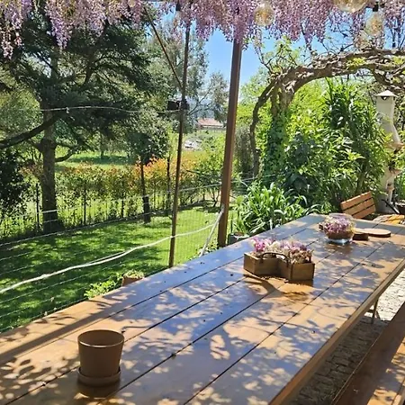 Villa Casa Da Alvarinha Privacidade, Conforto, Natureza Paredes (Porto)