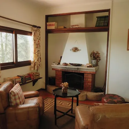 Casa Da Alvarinha Privacidade, Conforto, Natureza Paredes (Porto)