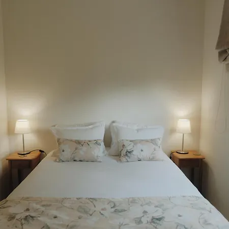 Villa Casa Da Alvarinha Privacidade, Conforto, Natureza