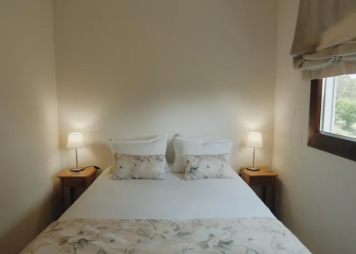 Villa Casa Da Alvarinha. Privacidade, Conforto, Natureza